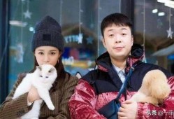 娱乐圈7大瓜最新爆料,揭秘明星幕后真相，揭秘娱乐圈风云变幻！