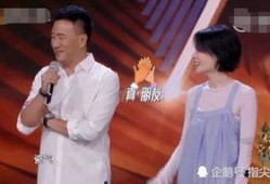 王菲胡军最新爆料,娱乐圈背后的故事大公开