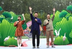 奉贤头条爆料新闻最新视频,最新爆料视频揭秘事件真相